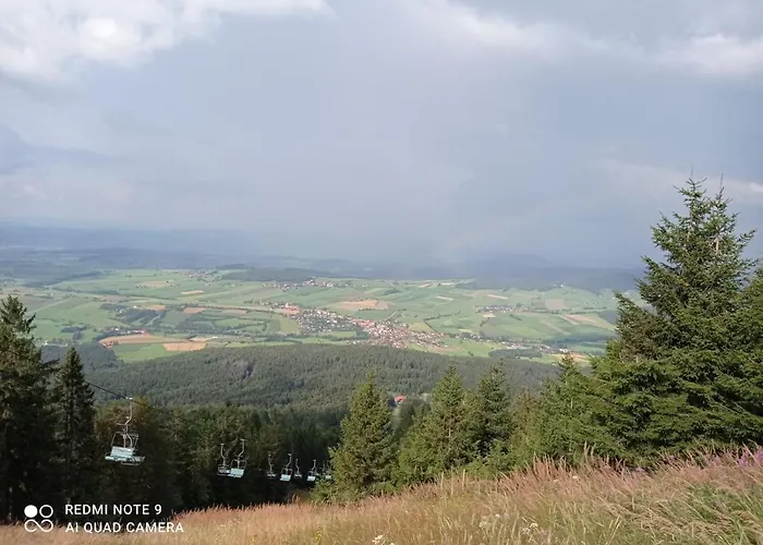 Bayerwaldhaeusl 公寓 阿尔拉赫